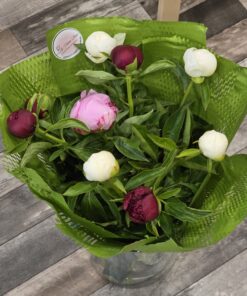 Buchet Bujori