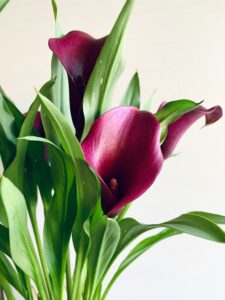 Buchet cu Cale