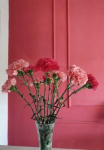 Buchet Garoafe