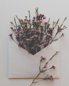 Wax Floare